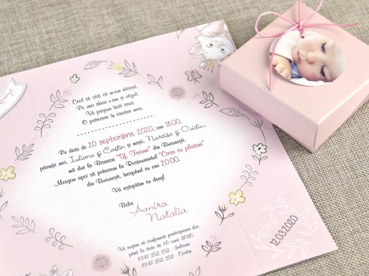 invitatie botez Disney 15726